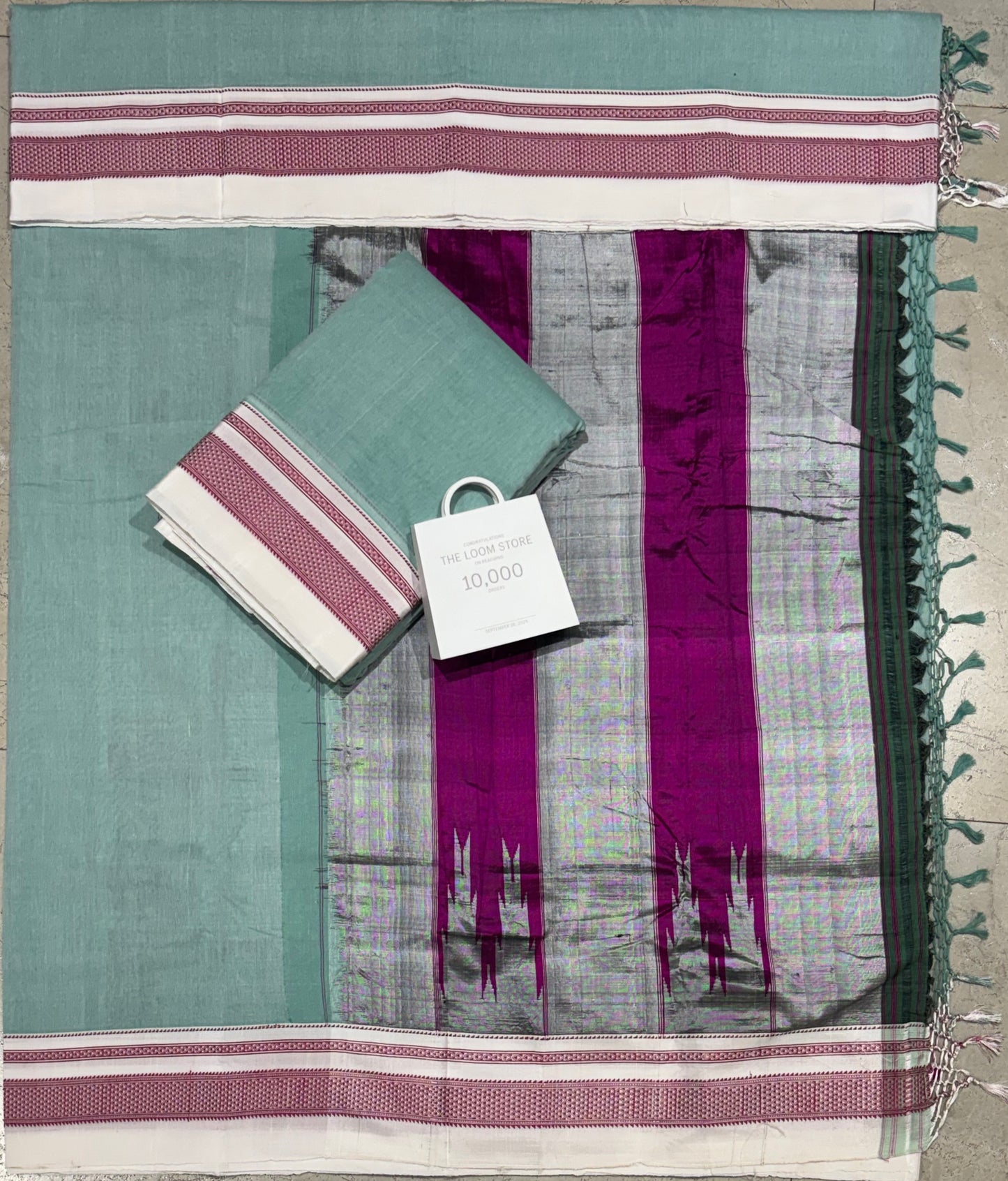Chikki Paras Ilkal Saree 16