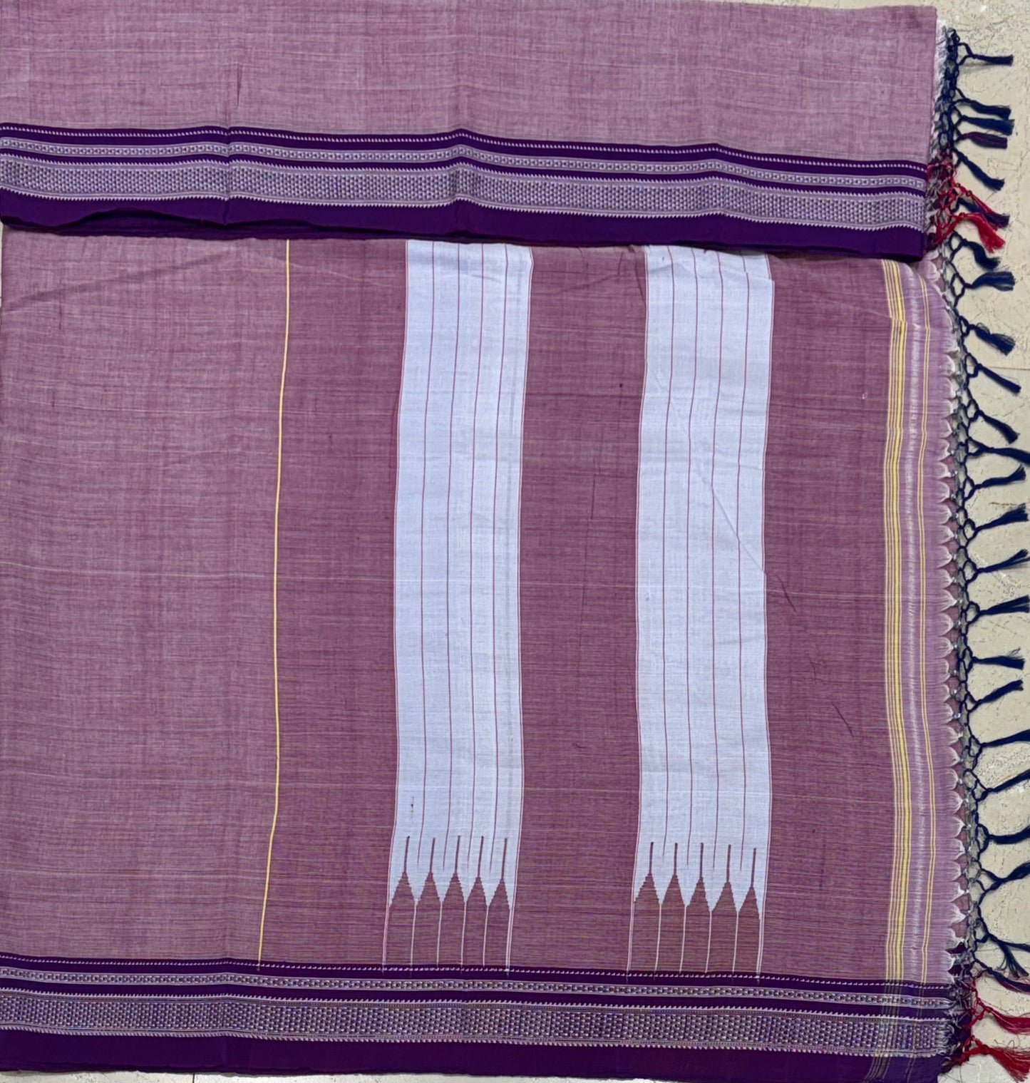 Chikki Paras Ilkal Saree 14