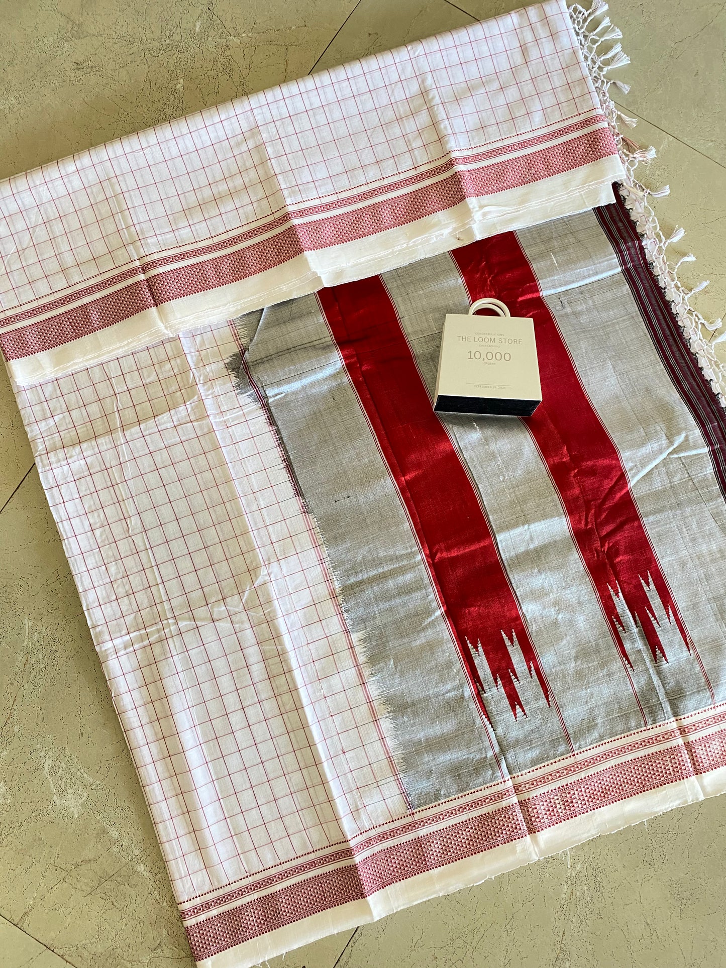 Ilkal Checks Handloom Saree 04